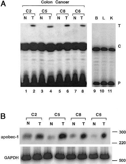 Figure  5