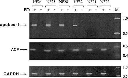 Figure  4