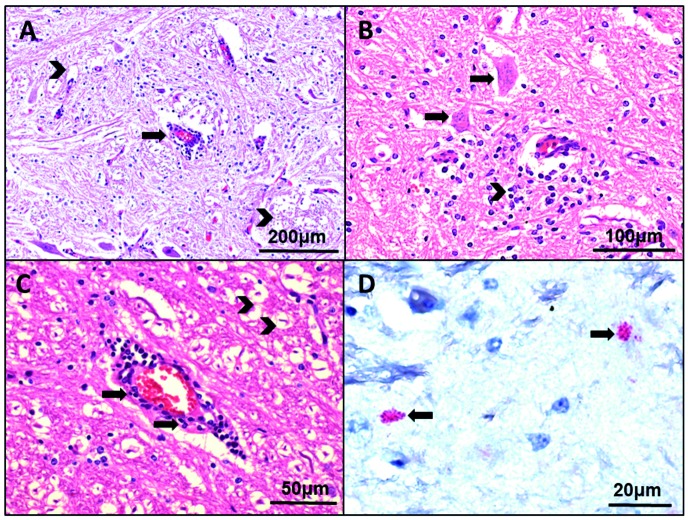 Fig. 2: