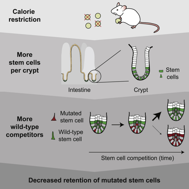 graphic file with name fx1.jpg