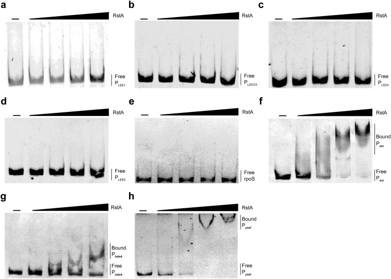 Fig. 6