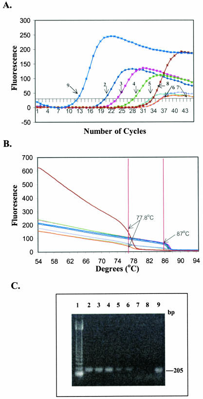 FIG. 2.