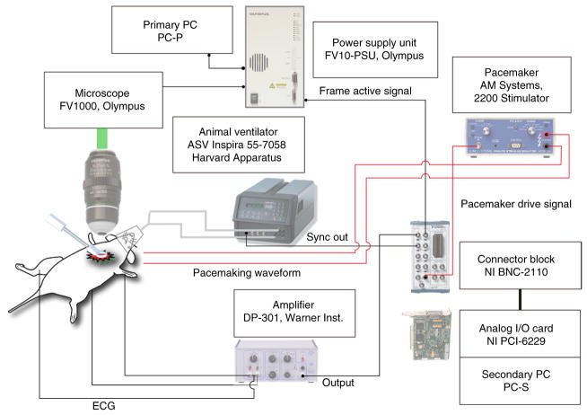 Figure 7