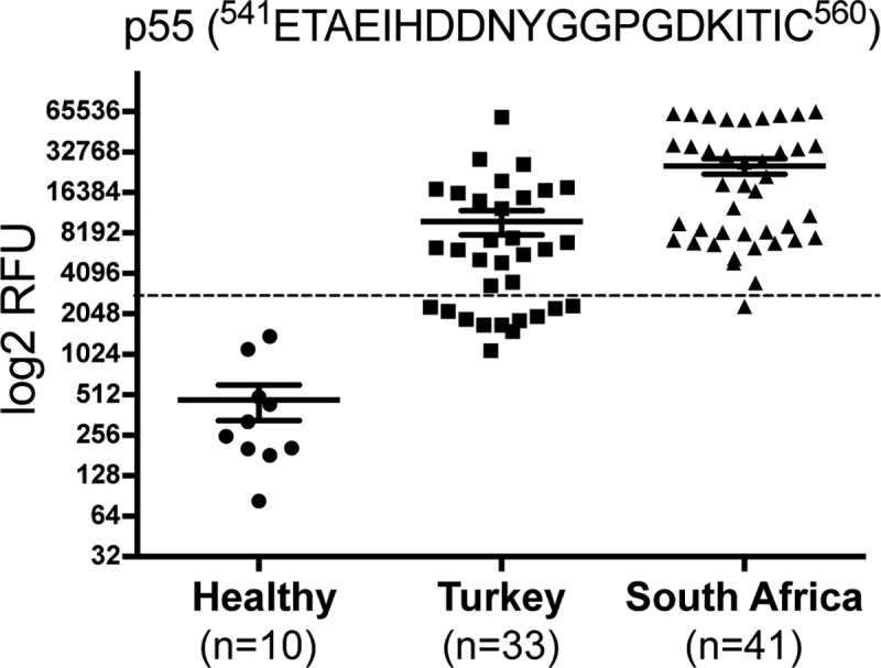 Fig 5