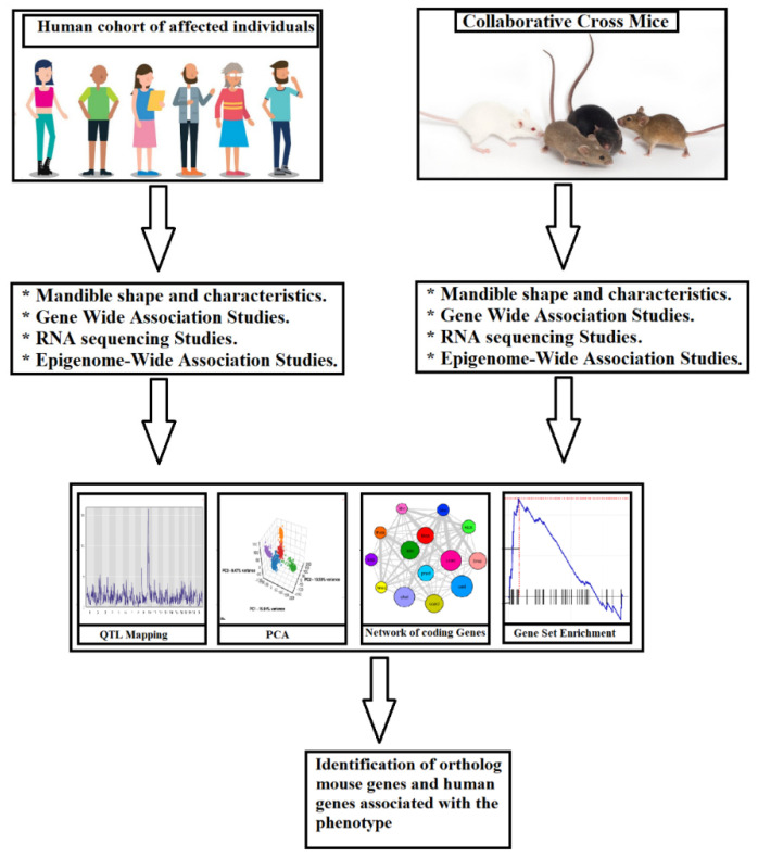 Figure 15