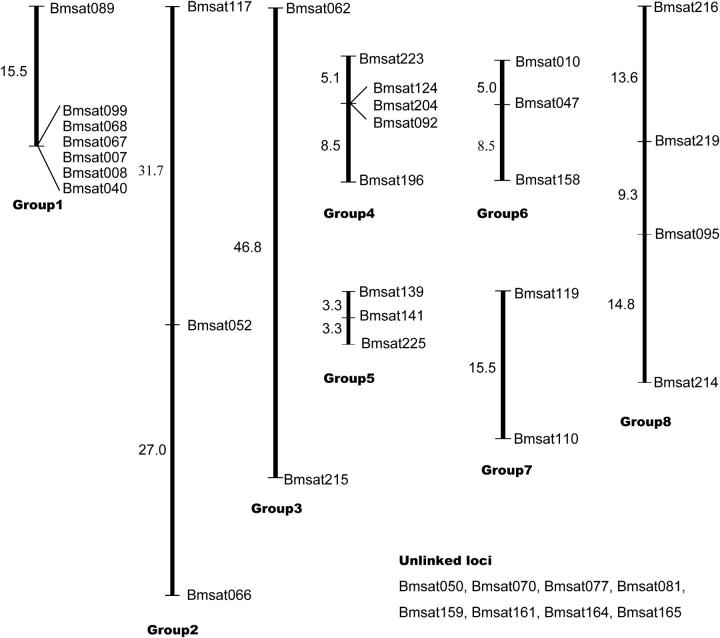 Figure 4.—