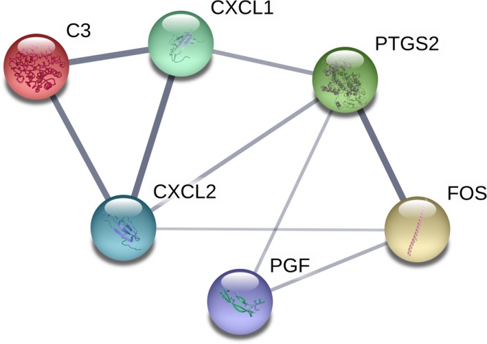 Figure 2