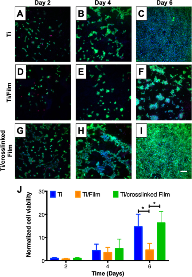 Figure 3: