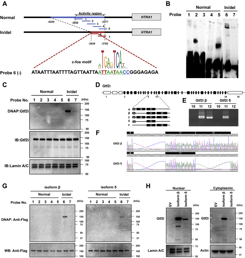 Figure 1