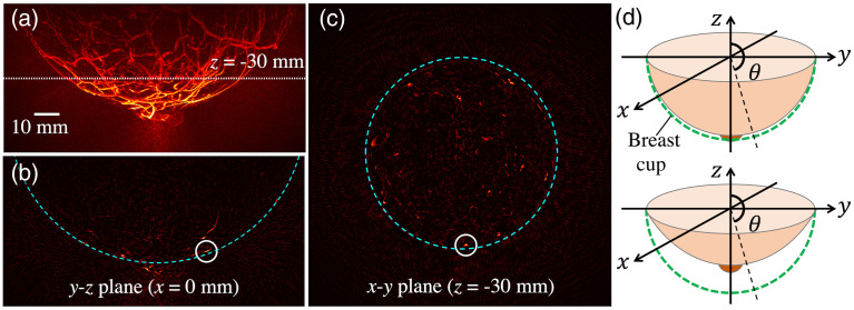 Fig. 3