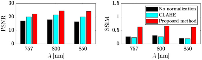 Fig. 10