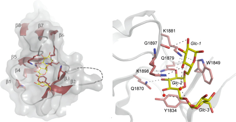 Fig. 3