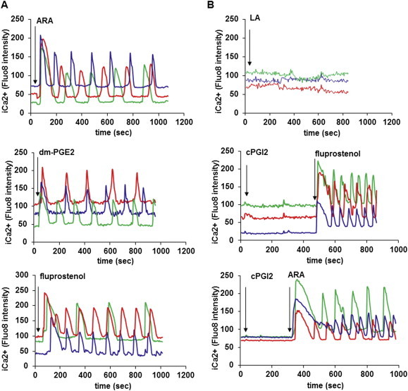 Figure 6