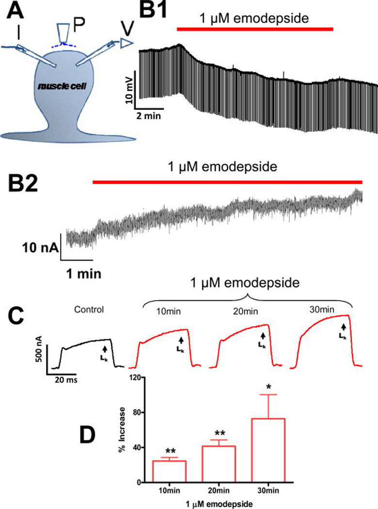 Fig. 3