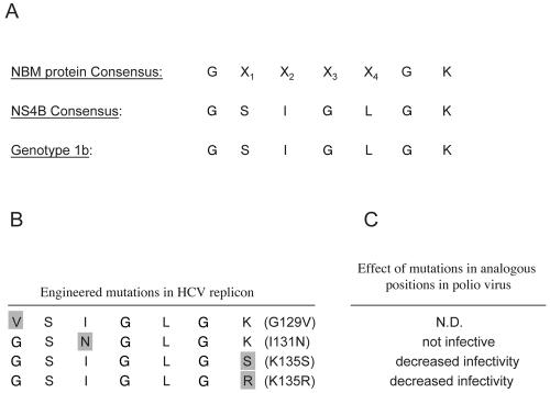 FIG. 6.