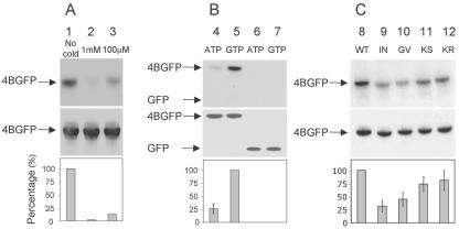 FIG. 3.