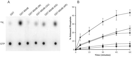 FIG. 5.