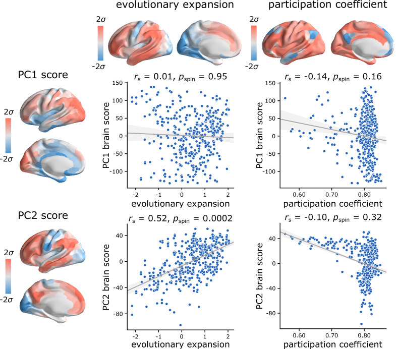 Figure 4—figure supplement 2.