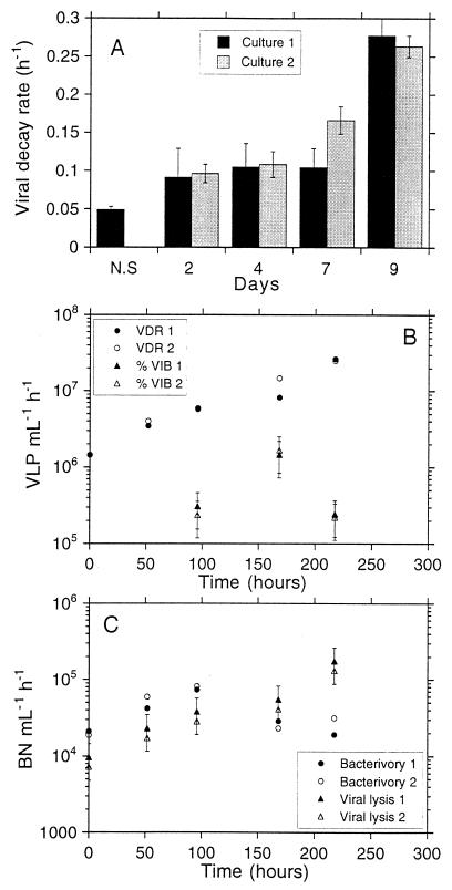 FIG. 5