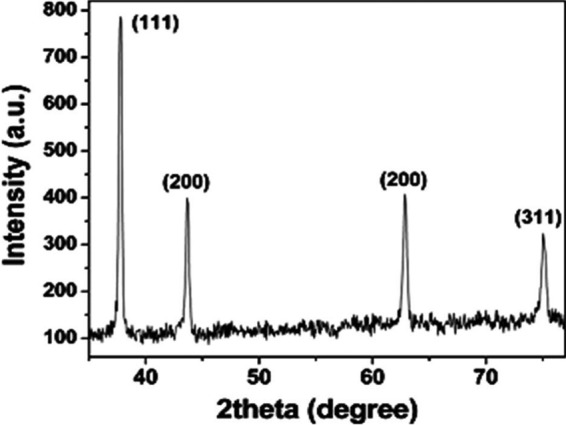 FIG 1