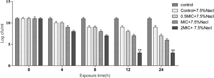 FIG 6