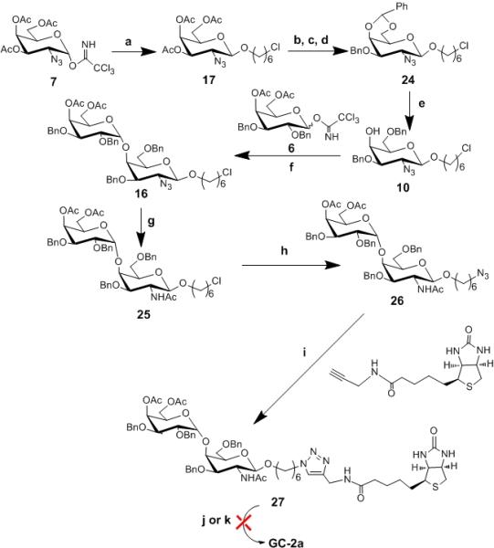 Scheme 3