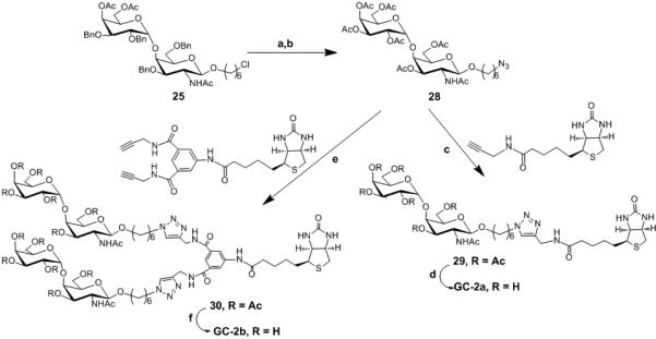 Scheme 4