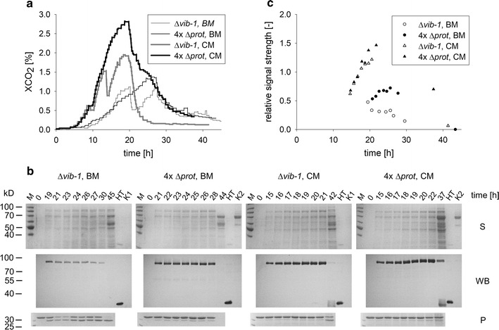 Fig. 6