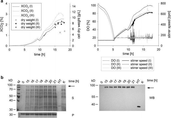 Fig. 7