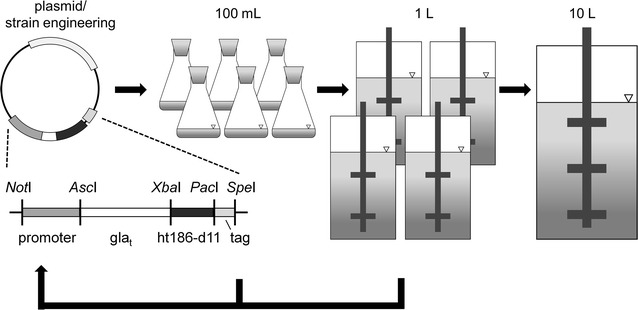 Fig. 1