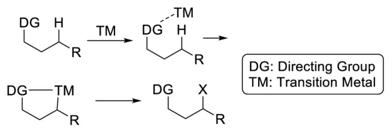 Scheme 1