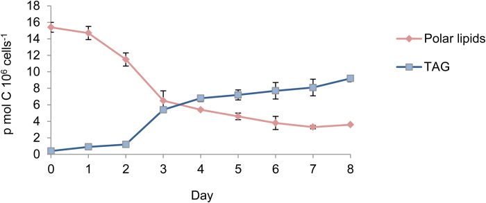 Fig. 8.