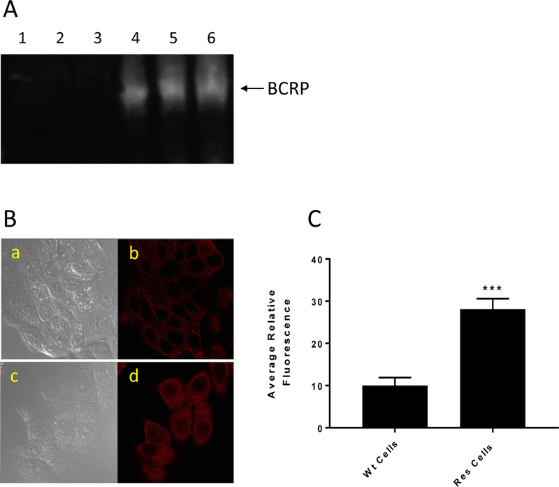 Figure 3: