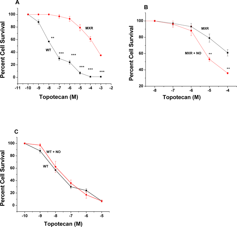 Figure-5: