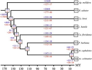 Fig. 3