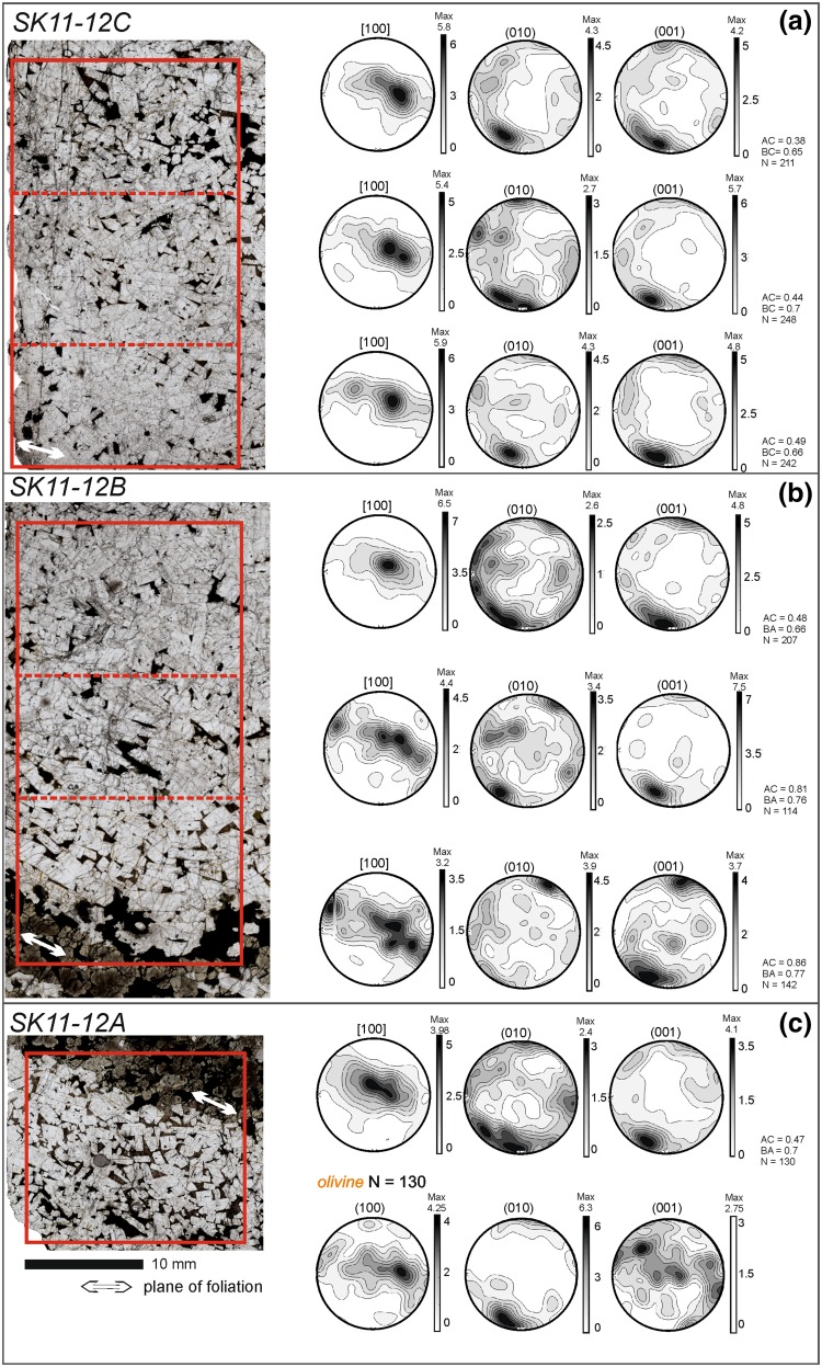 Fig. 10