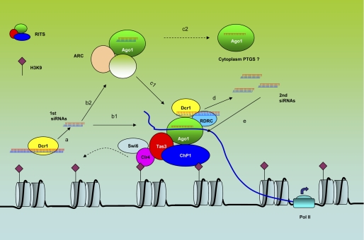 FIGURE 1.