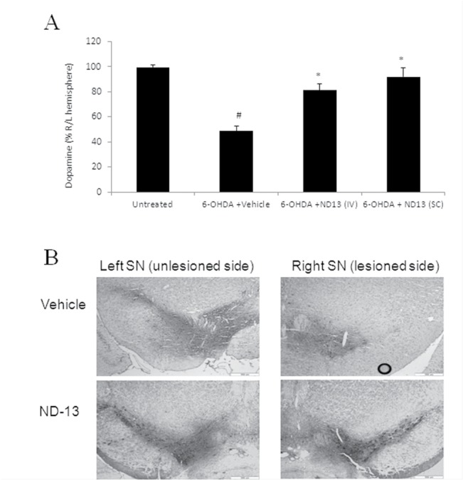 Fig 8