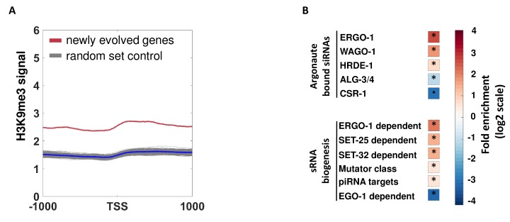 Figure 4—figure supplement 3.