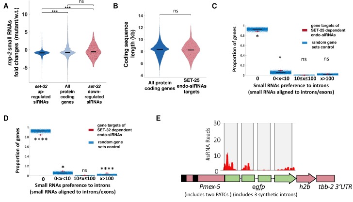 Figure 4—figure supplement 2.