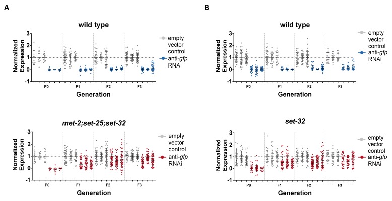 Figure 1—figure supplement 1.