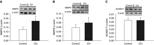 Figure 14.