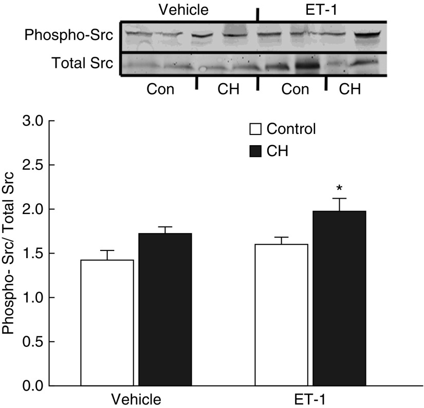 Figure 12.