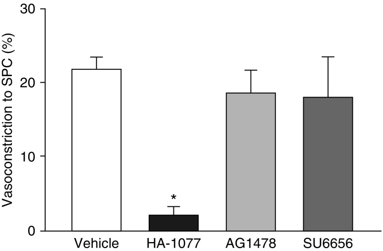 Figure 11.