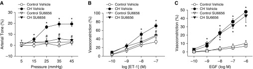 Figure 10.