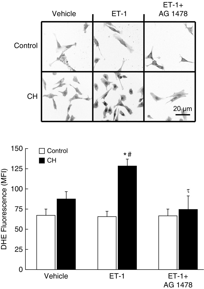 Figure 7.