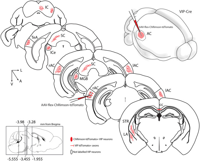 Figure 9