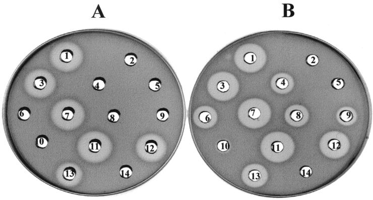 FIG. 3