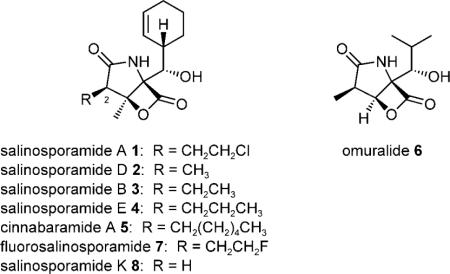 graphic file with name nihms-281562-f0001.jpg