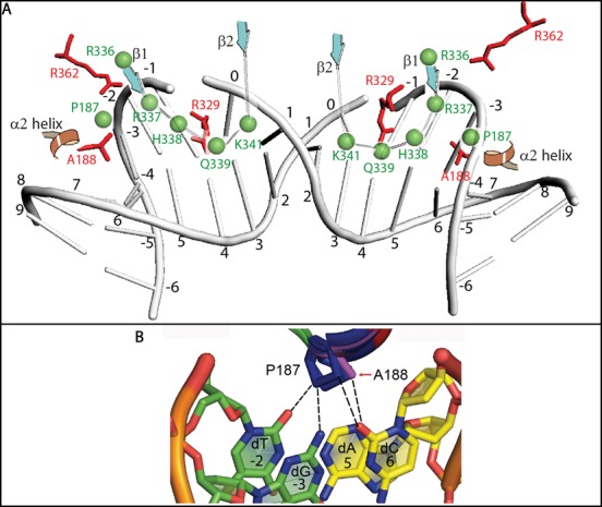 Figure 9.